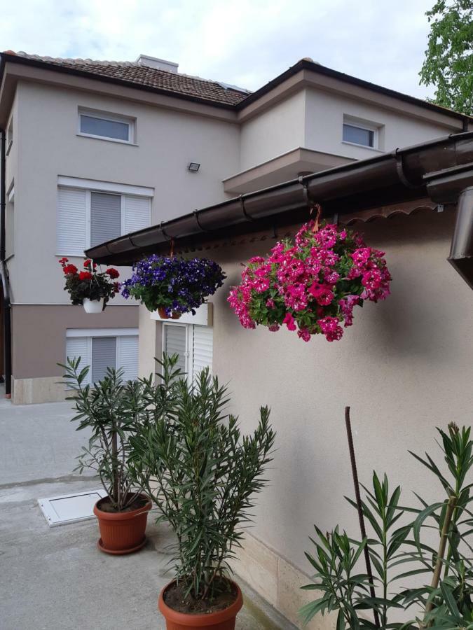 Villa Ros Guest House Svilengrad Extérieur photo