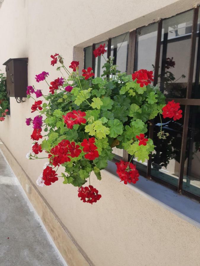 Villa Ros Guest House Svilengrad Extérieur photo