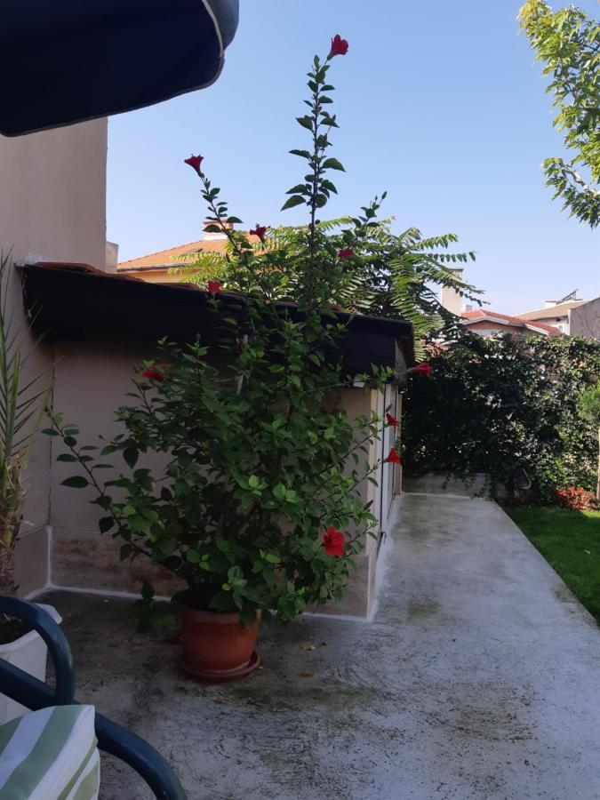 Villa Ros Guest House Svilengrad Extérieur photo